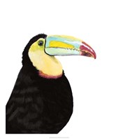 Watercolor Toucan Fine Art Print