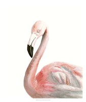 Watercolor Flamingo Fine Art Print