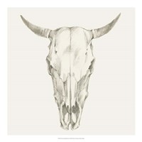 Western Skull Mount I Fine Art Print