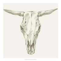 Western Skull Mount II Fine Art Print