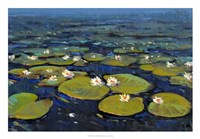 Lily Pads II Fine Art Print