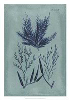 Indigo & Azure Seaweed I Fine Art Print