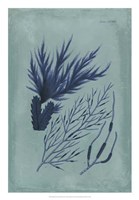 Indigo & Azure Seaweed II Fine Art Print
