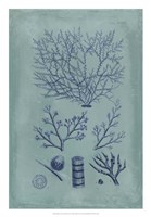 Indigo & Azure Seaweed III Fine Art Print