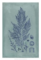 Indigo & Azure Seaweed IV Fine Art Print