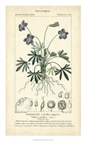 Botanique Study in Lavender IV Fine Art Print