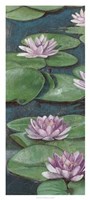 Tranquil Lilies I Fine Art Print