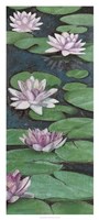 Tranquil Lilies II Framed Print