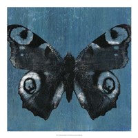 Chambray Butterflies I Fine Art Print