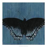 Chambray Butterflies II Framed Print