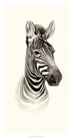 Safari Portrait I Fine Art Print