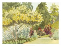 Plein Air Garden VI Fine Art Print