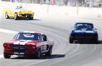 Mustang and Corvette Racing Fine Art Print