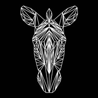 Zebra on Black Fine Art Print