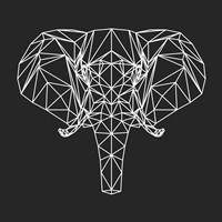 Elephant Polygon Fine Art Print