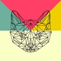 Party Cat Fine Art Print