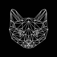 Black Cat Polygon Fine Art Print
