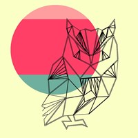 Owl and Sunset Fine Art Print