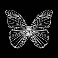 Butterfly Polygon Fine Art Print
