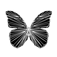 Black Butterfly Fine Art Print