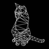 Smart Cat Polygon Fine Art Print