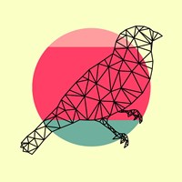 Bird and Sunset Fine Art Print