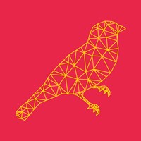 Bird Polygon Fine Art Print