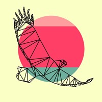 Eagle and Sunset Fine Art Print