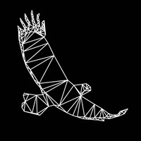 Black Eagle Polygon Fine Art Print