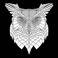 White Owl Mesh Fine Art Print