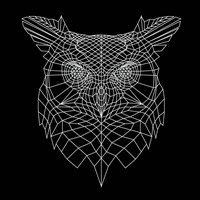 Black Owl Mesh Fine Art Print
