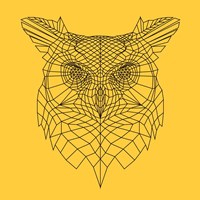 Yellow Owl Mesh Fine Art Print