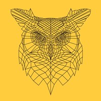 Yellow Owl Mesh Fine Art Print