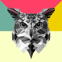 Owl Head Fine Art Print