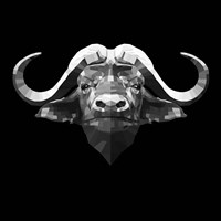 Black Buffalo Fine Art Print