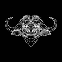 Black Buffalo Mesh Fine Art Print