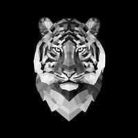 Tiger Head Fine Art Print