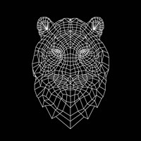 Tiger Head Mesh Fine Art Print
