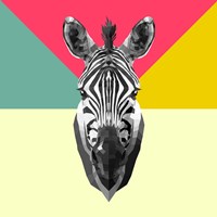 Party Zebra Head Fine Art Print