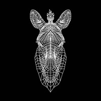 Black Zebra Head Mesh Fine Art Print