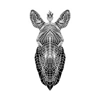 White Zebra Mesh Fine Art Print