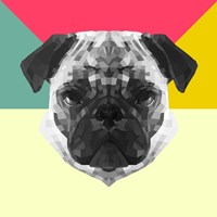 Party Pug Fine Art Print