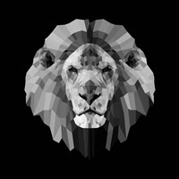 Lion Head Fine Art Print
