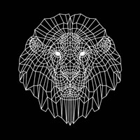 Lion Head Black Mesh Fine Art Print