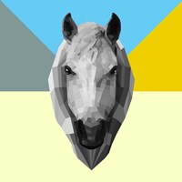 Party Horse Fine Art Print