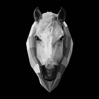 Horse Head Fine Art Print