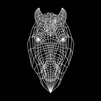 Horse Head Black Mesh Fine Art Print