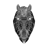Horse Head Mesh Fine Art Print