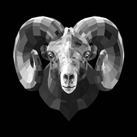 Ram Head Fine Art Print
