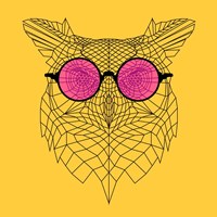 Owl in Pink Glasses Fine Art Print